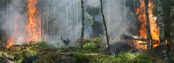 Waldbrandverordnung 2011 Bitte um Beachtung